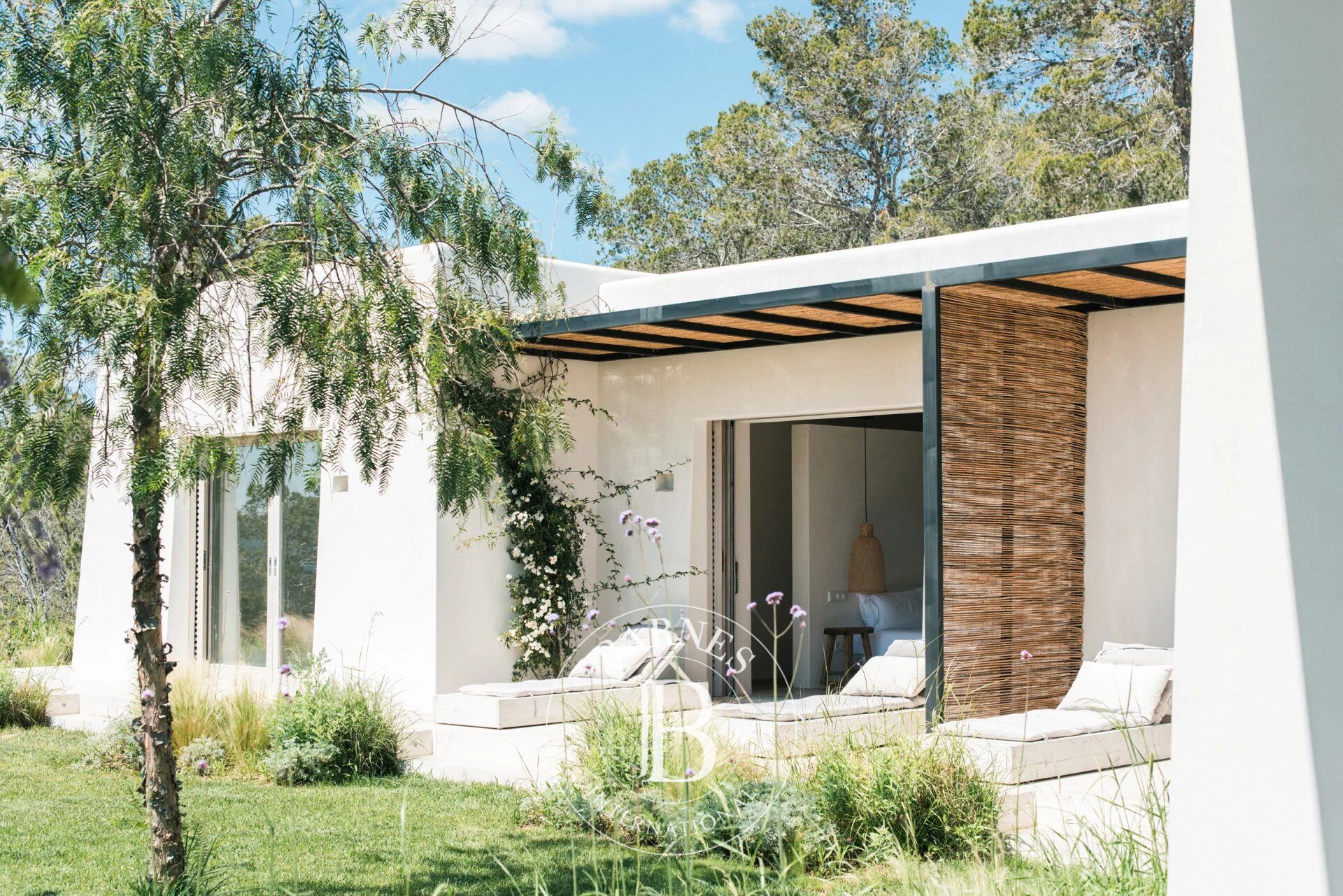 Can Santora - picture 3