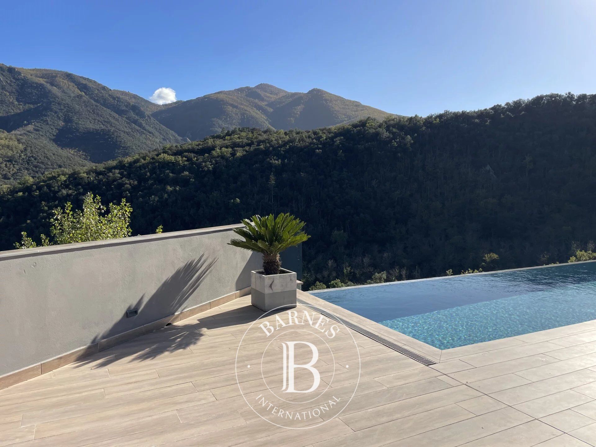 Arles-sur-Tech - Architect-designed house with swimming pool - Panoramic views - picture 2