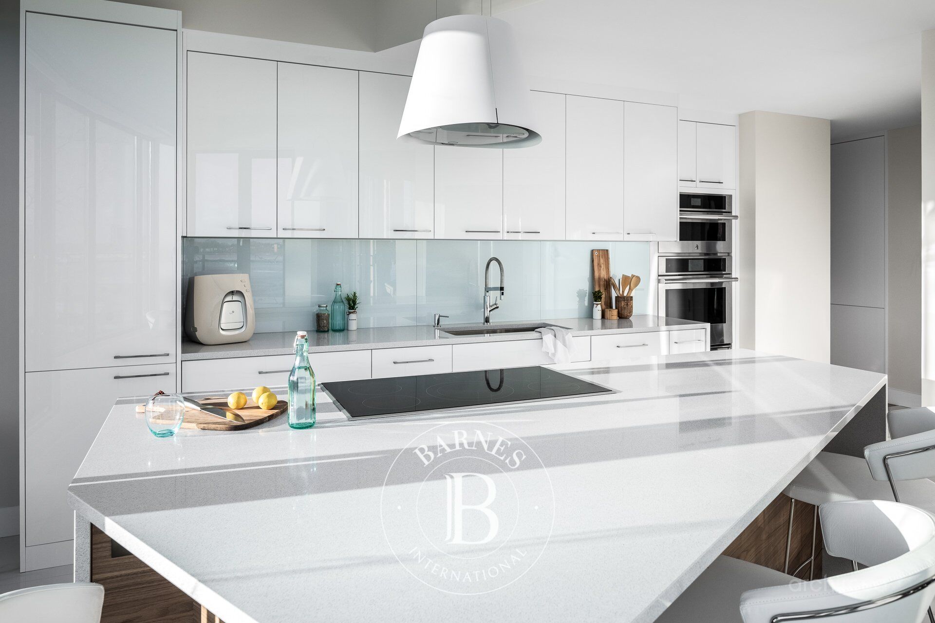 Daire Laval (Chomedey) - picture 11