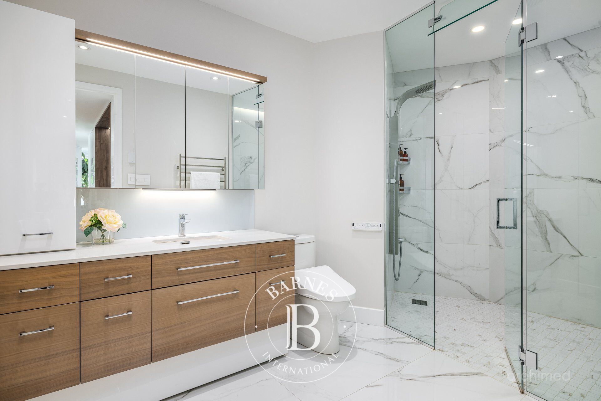 Daire Laval (Chomedey) - picture 15