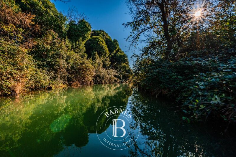 For Sale Property | Venezia - picture 2