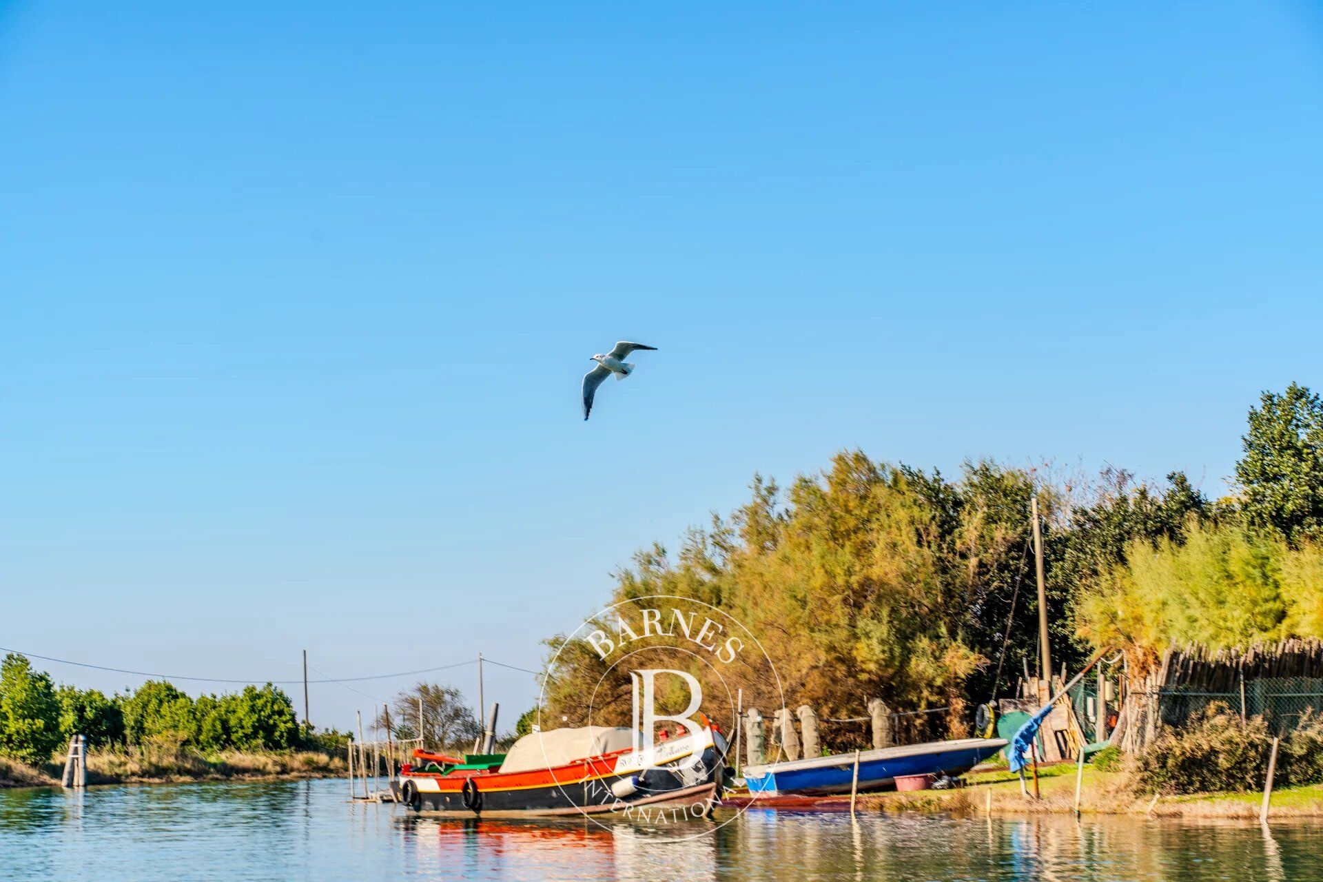 Venice : Northern Venetian Lagoon - picture 3
