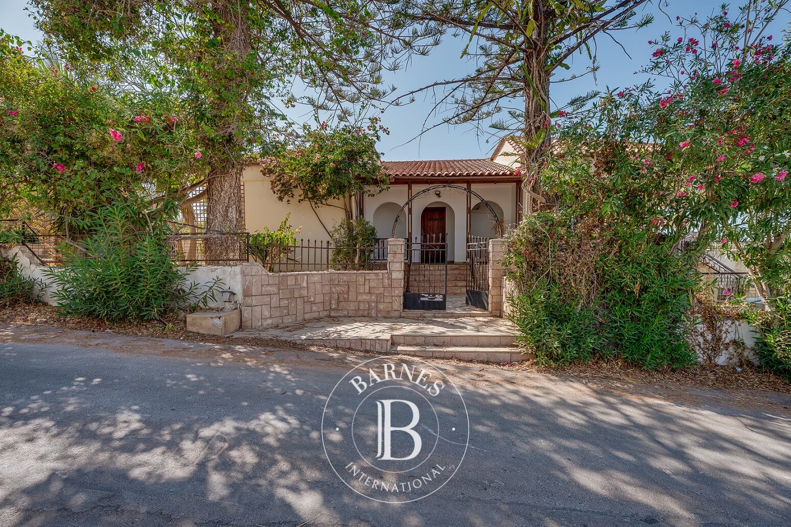 Unique Investment Opportunity - Chania - picture 2