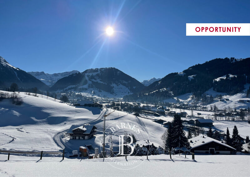 À vendre Appartement | Saanen - picture 1