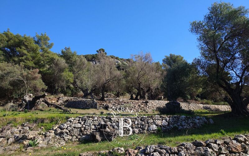 À vendre Terrain constructible | Kefalonia - picture 2