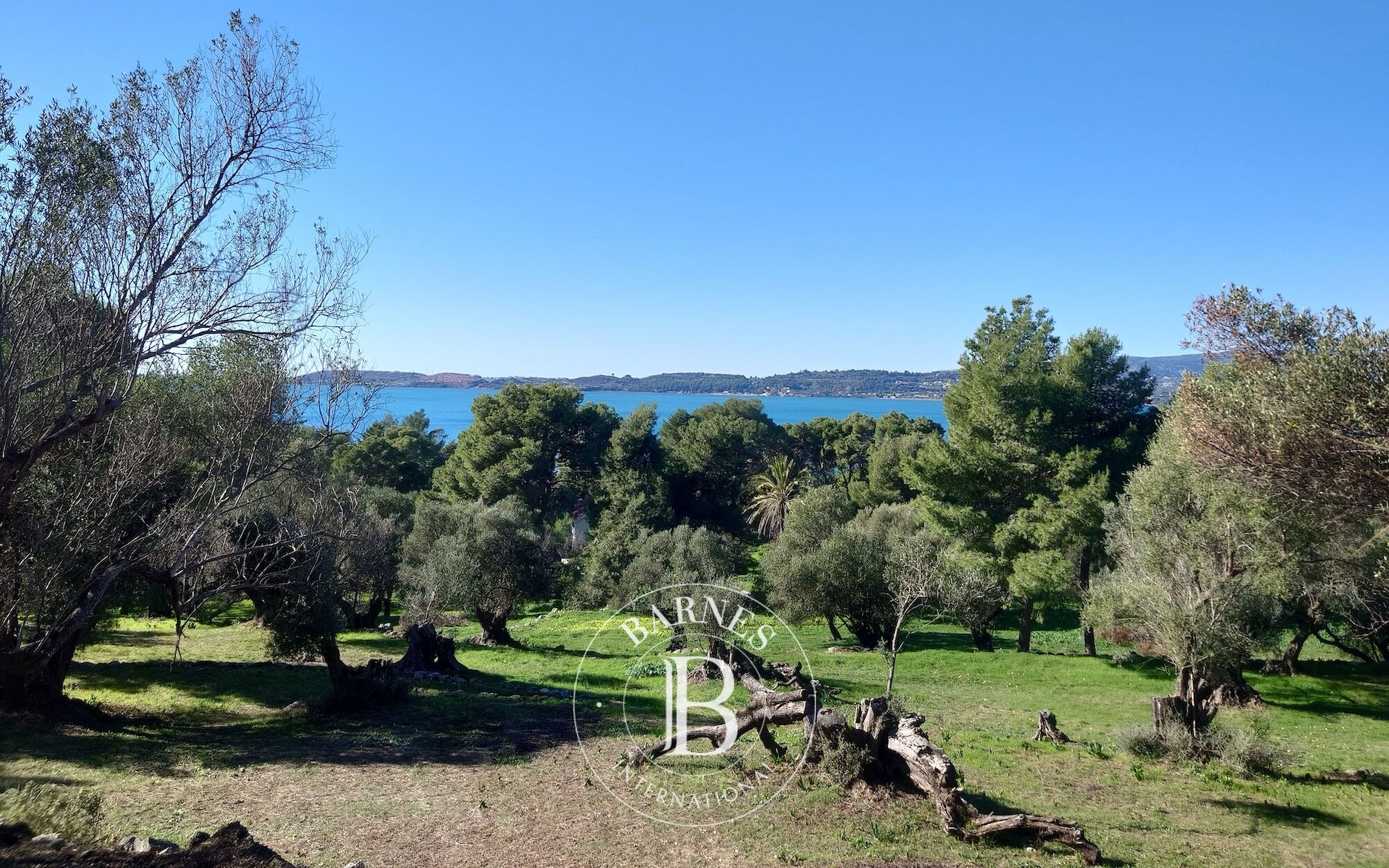 Terrain avec Vue sur la Mer Ionienne - Île de Céphalonie - picture 3