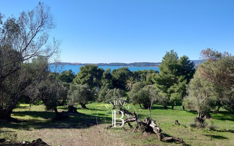 À vendre Terrain constructible | Kefalonia - picture 3