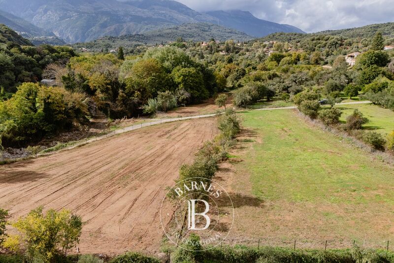 À vendre Terrain constructible | Laconia - picture 2