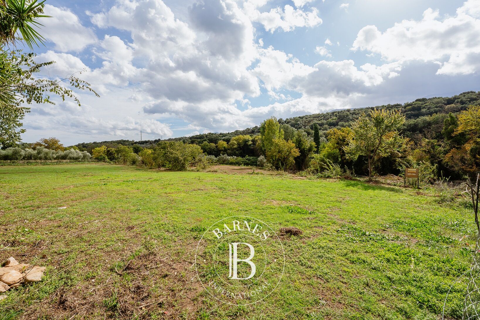 Terrain dans une Région Verdoyante - Agia Eirini, Laconie - picture 3