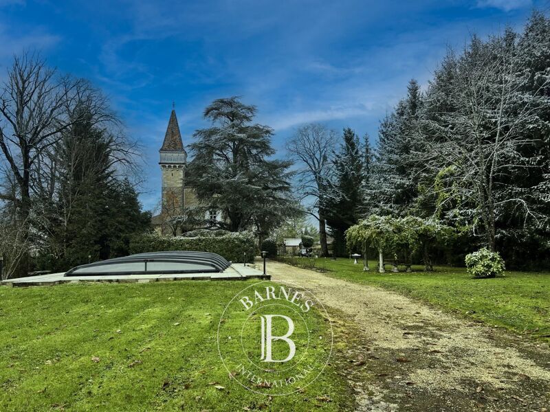 À vendre, Château Coligny - picture 2