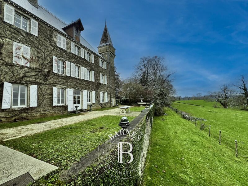 À vendre, Château Coligny - picture 1