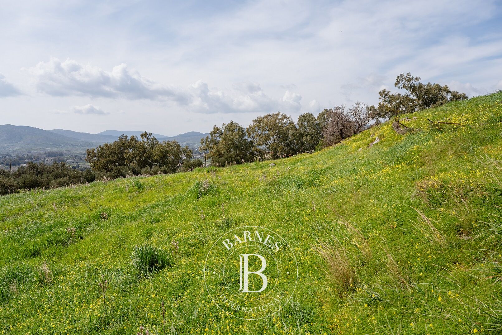 Terrain avec Permis de Construire - Karystos, Eubée - picture 2