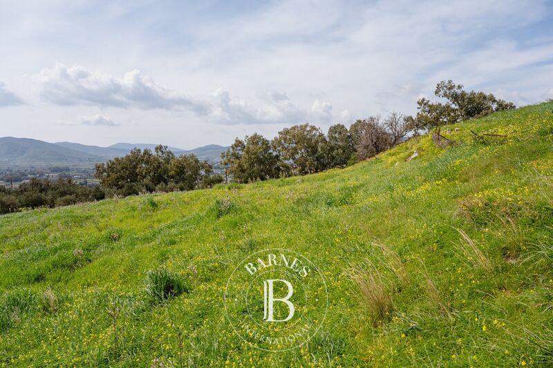 À vendre Terrain constructible | Evia - picture 2