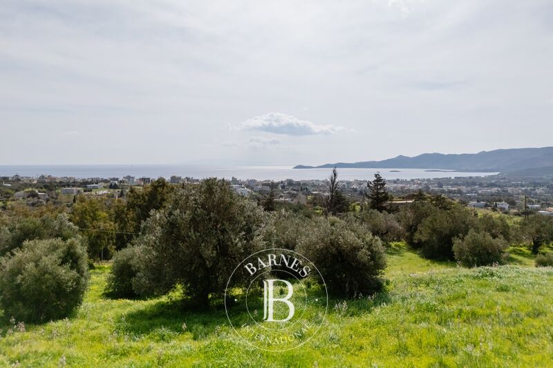 À vendre Terrain constructible | Evia - picture 3