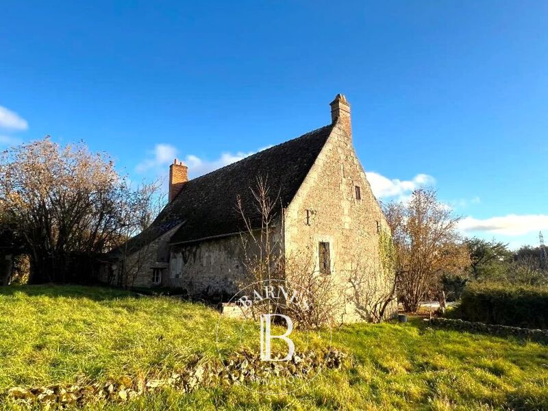 Venta, Finca Joué-lès-Tours - picture 3