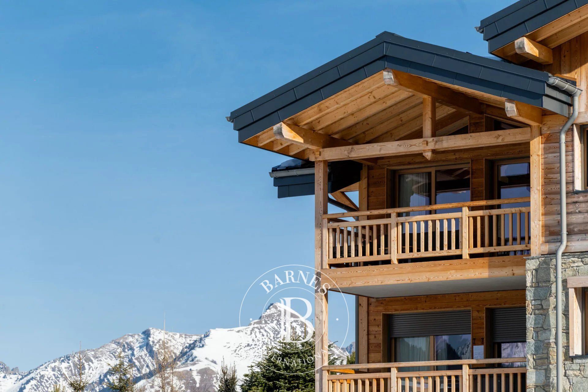 Les Gets - Programme Neuf - La Ferme des Pistes  - Du T3 + Cabine au T6 - picture 3