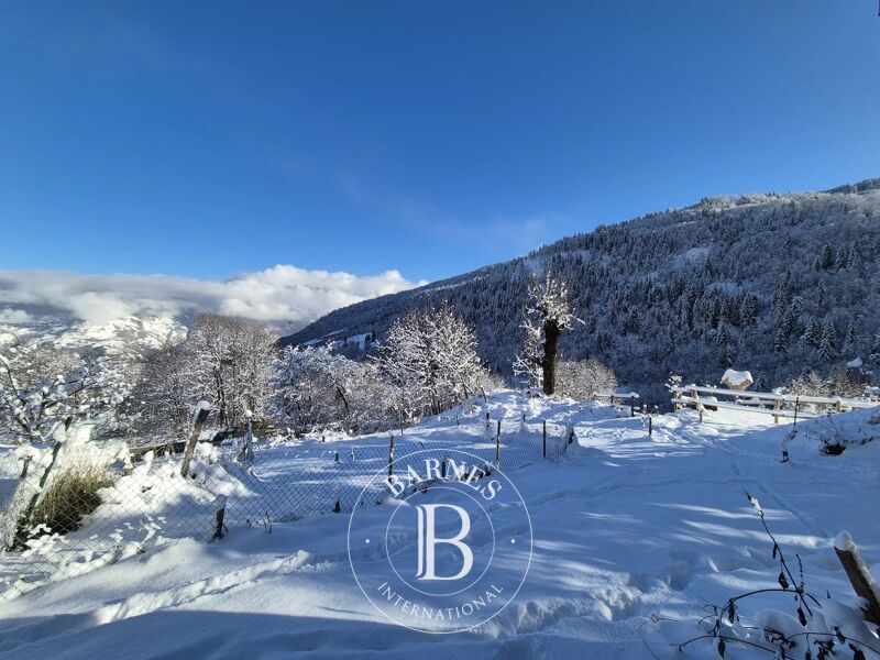 Zu verkaufen, Scheune Les Allues - picture 2