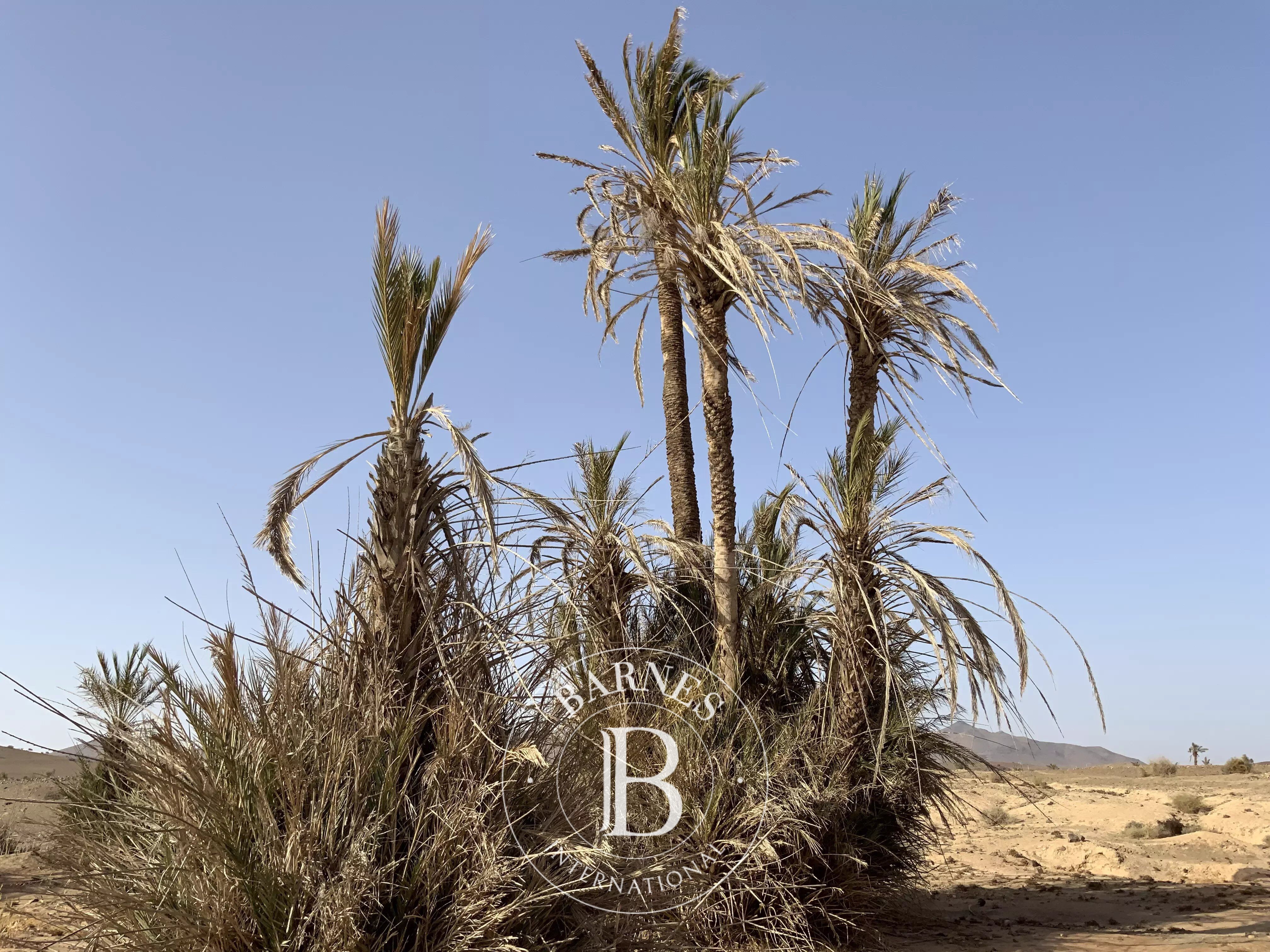 Terrain titré de  6 hectares Marrakech, Offre spéciale Coupe d’Afrique - picture 1