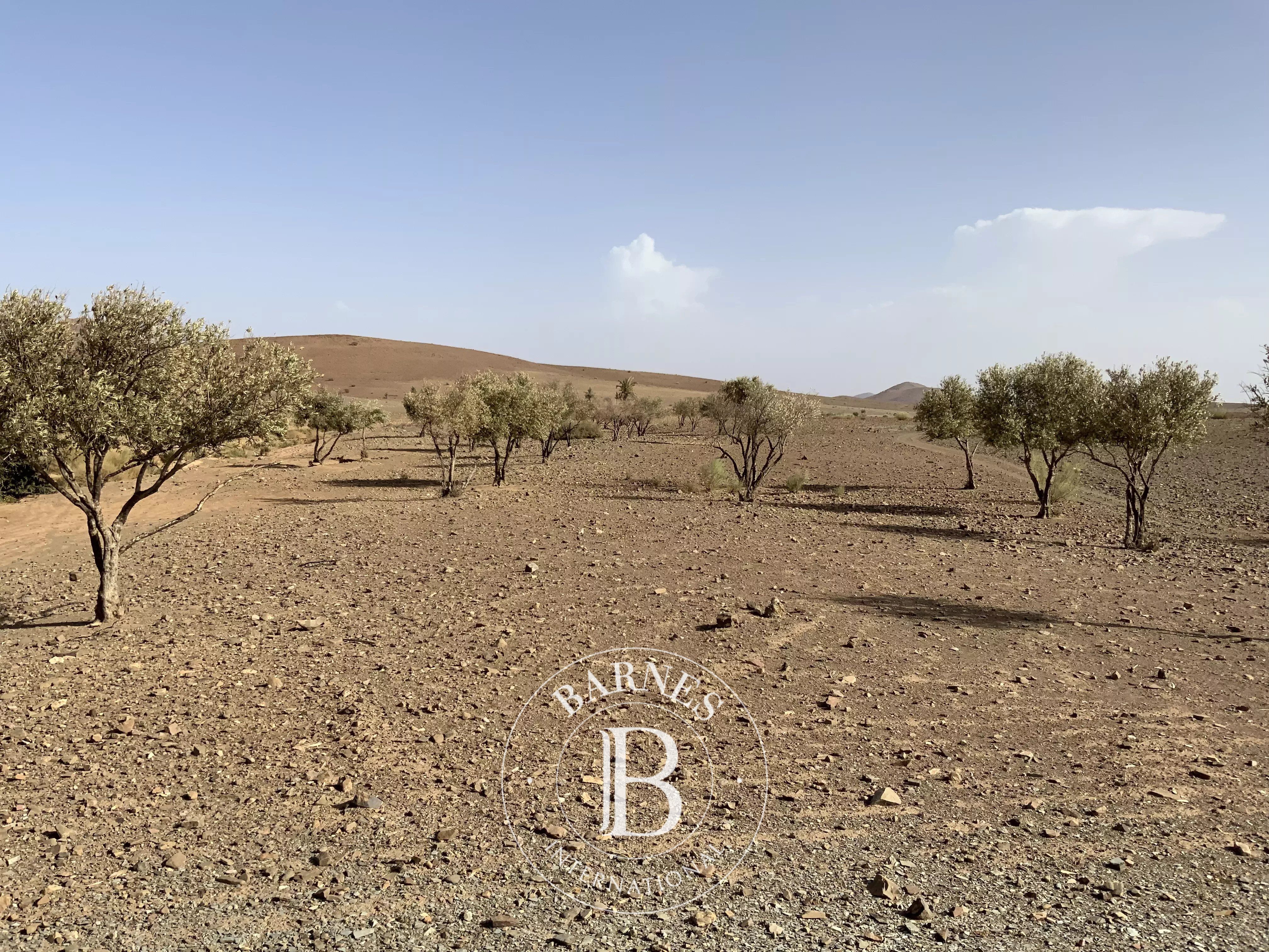 Terrain titré de  6 hectares Marrakech, Offre spéciale Coupe d’Afrique - picture 3