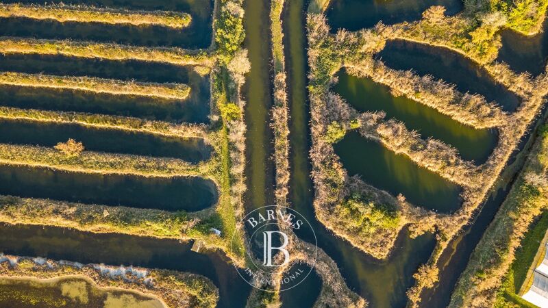 For Sale Property | Cavallino-Treporti - picture 1