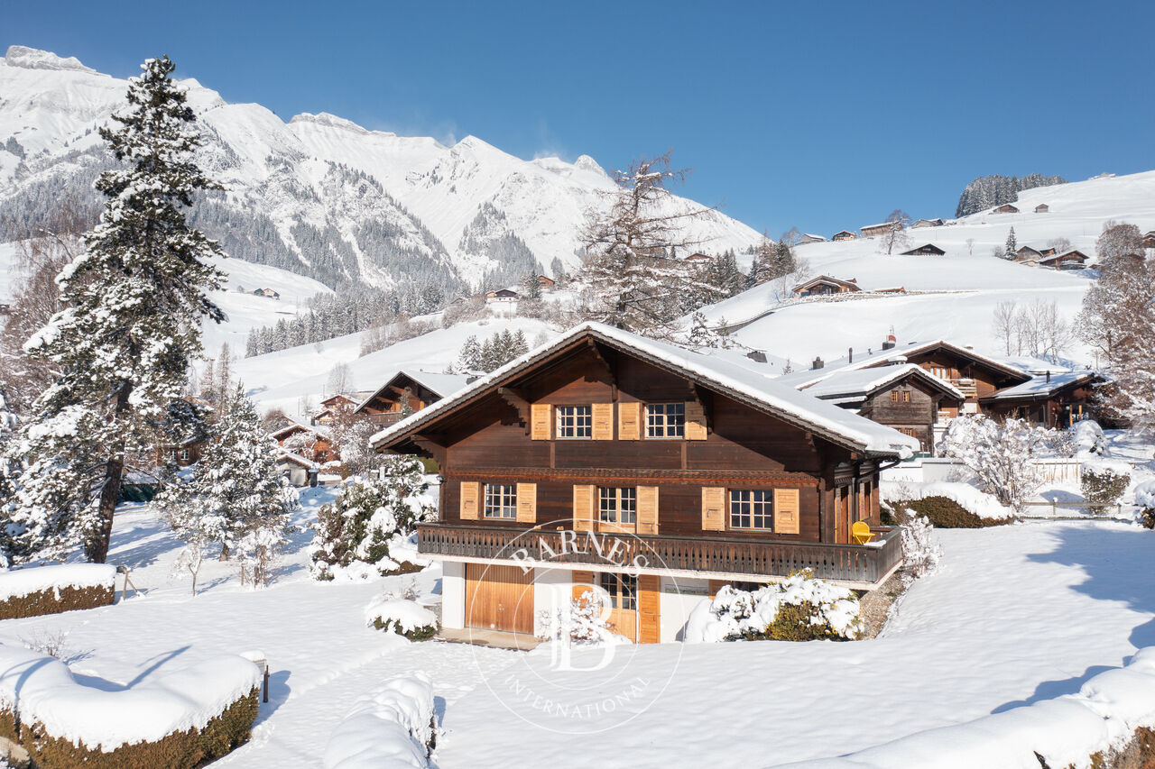 Chalet typique - picture 1