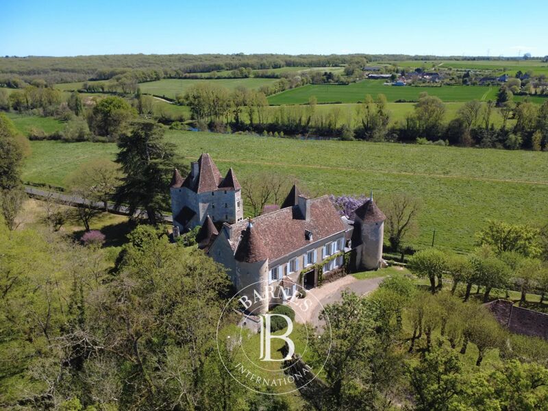 For Sale Castle | Châtellerault - picture 1