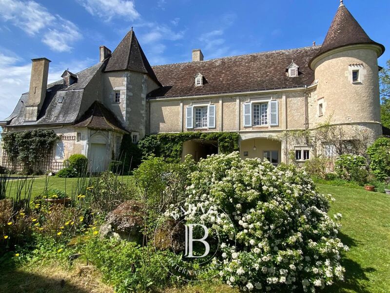 À vendre Château | La Roche-Posay - picture 3