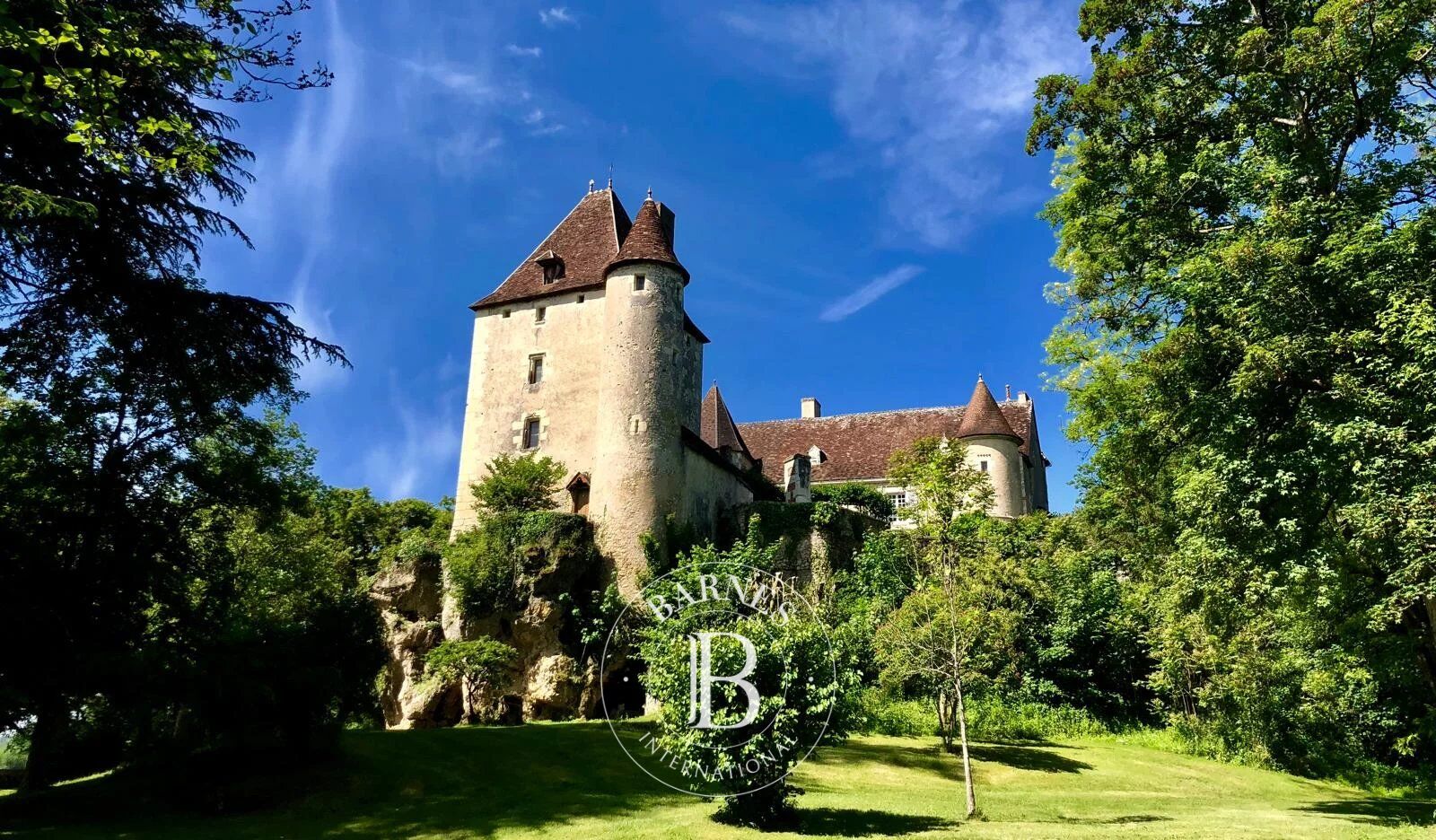 Entre Touraine et Poitou - Château XVe et XVIIIe - Terrain de 7,6 hectares - picture 2