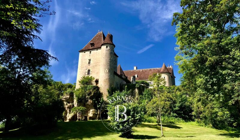 À vendre Château | Saint-Pierre-de-Maillé - picture 2