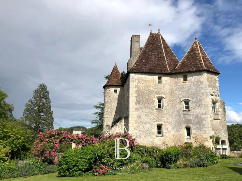 À vendre Château | Saint-Pierre-de-Maillé - picture 3