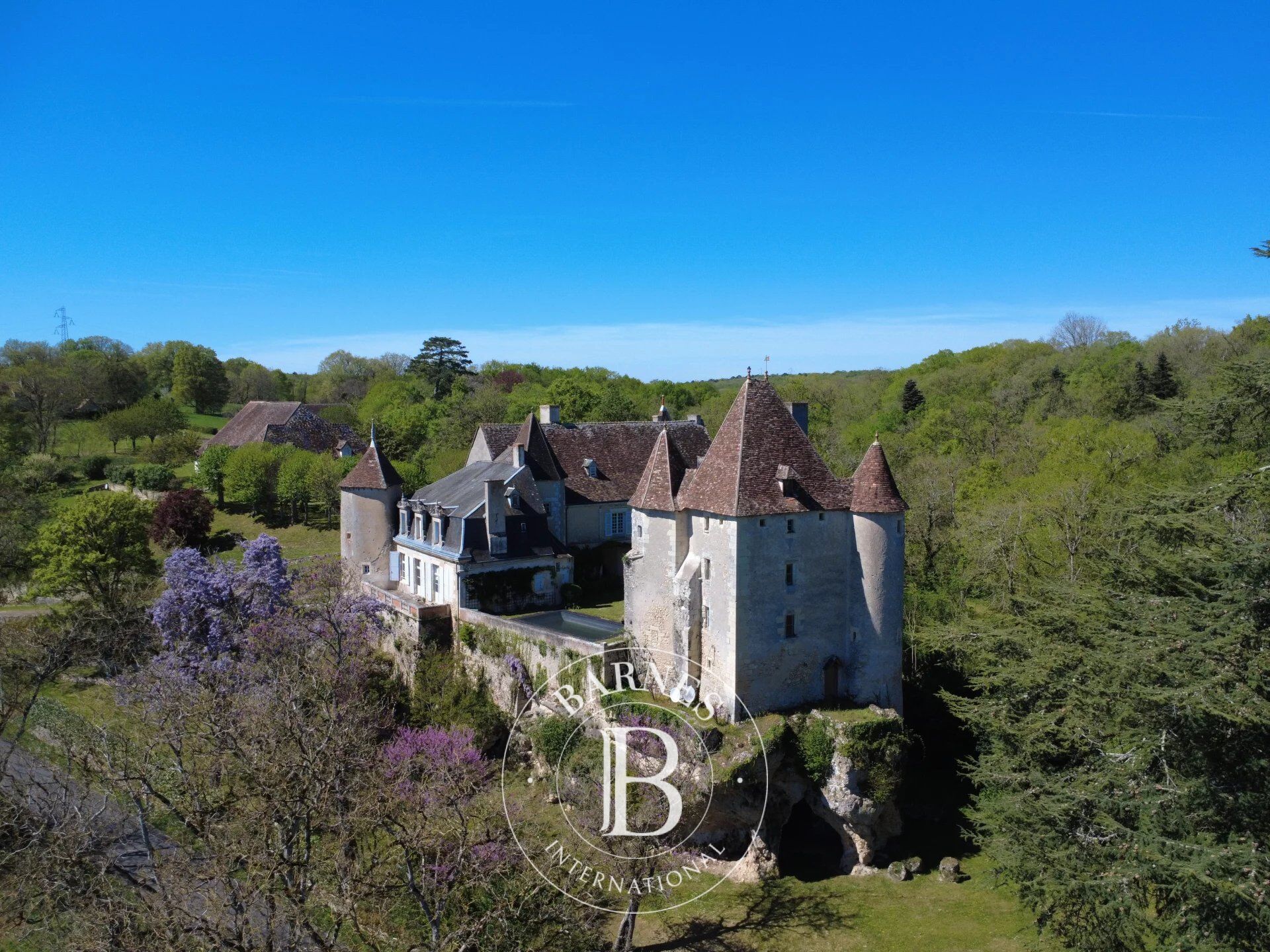 Between Touraine and Poitou – 15th- and 18th-century château – 7,6 hectare of land - picture 2