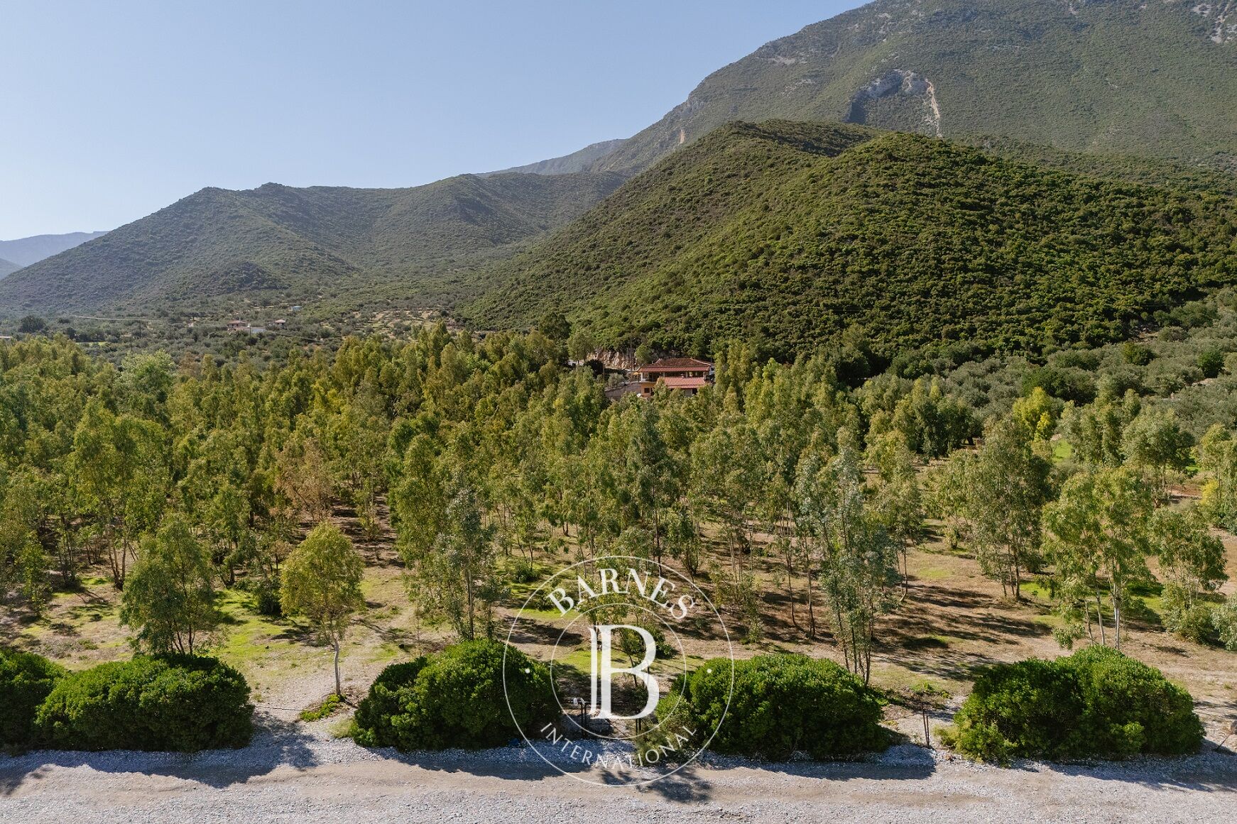 Terreno edificabile Arkadia - picture 2