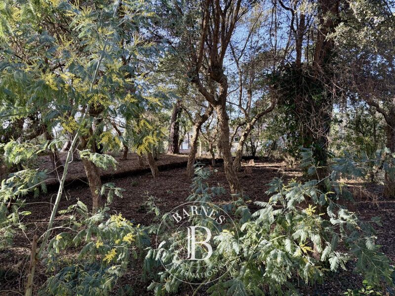 À vendre, Maison Hossegor - picture 3