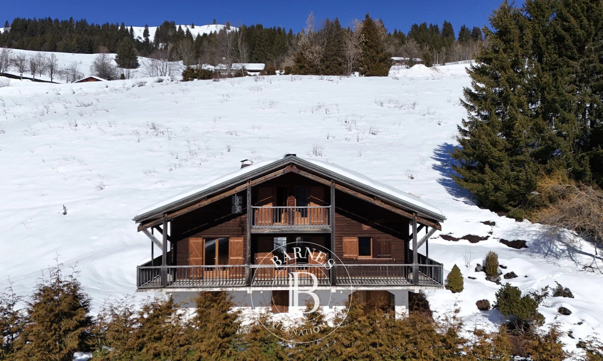 Chalet Les Gets - picture 3