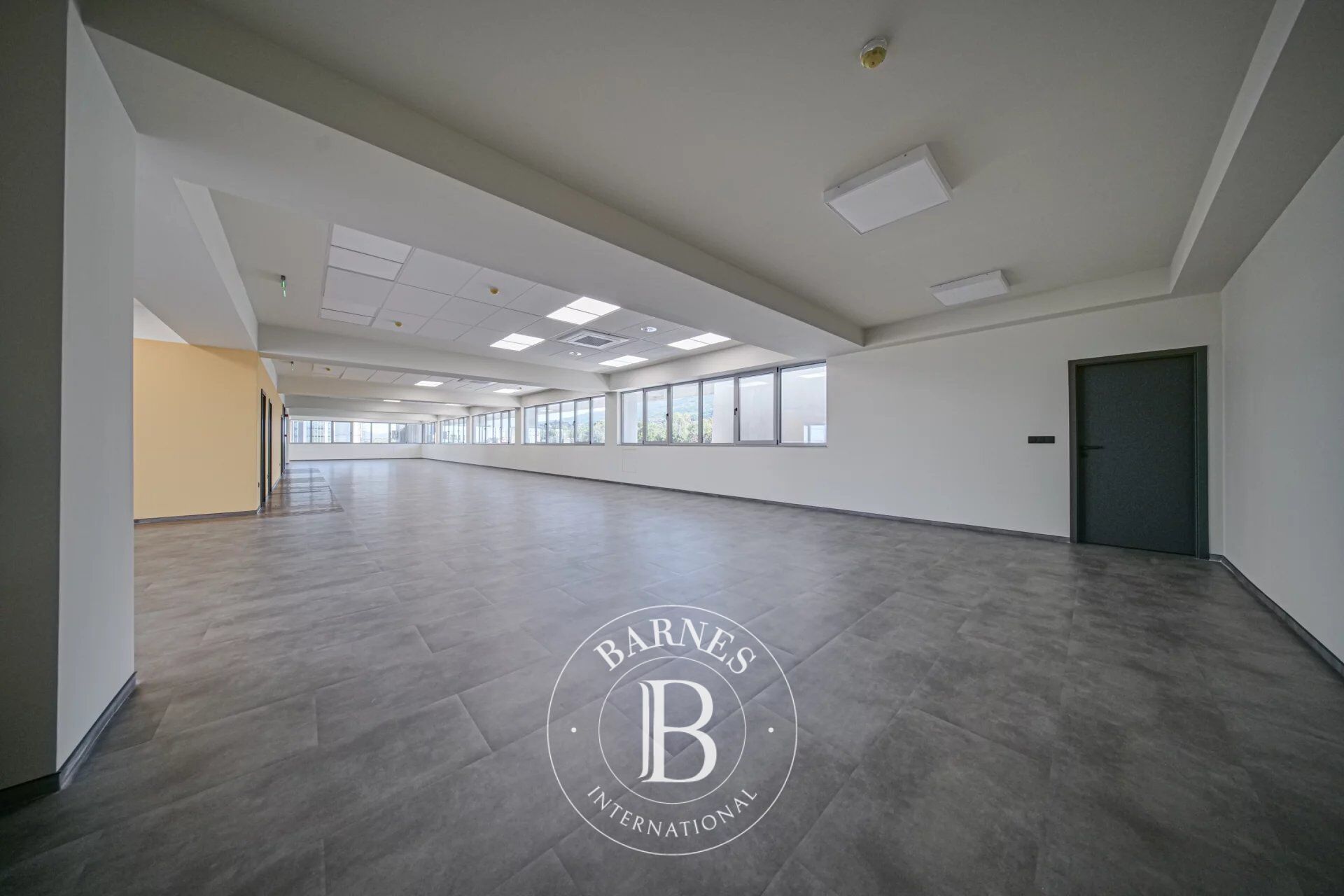 Piso Sofia - picture 3