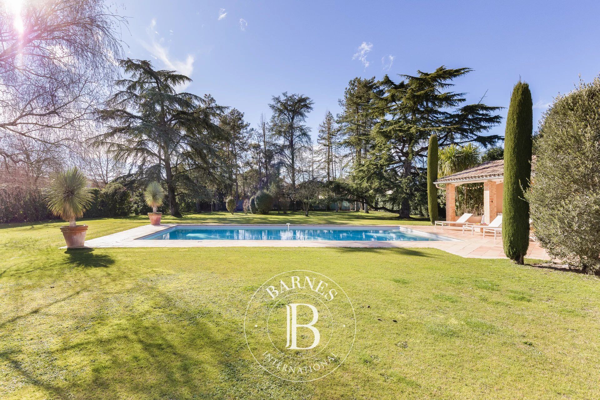 Finca Rabastens - picture 3