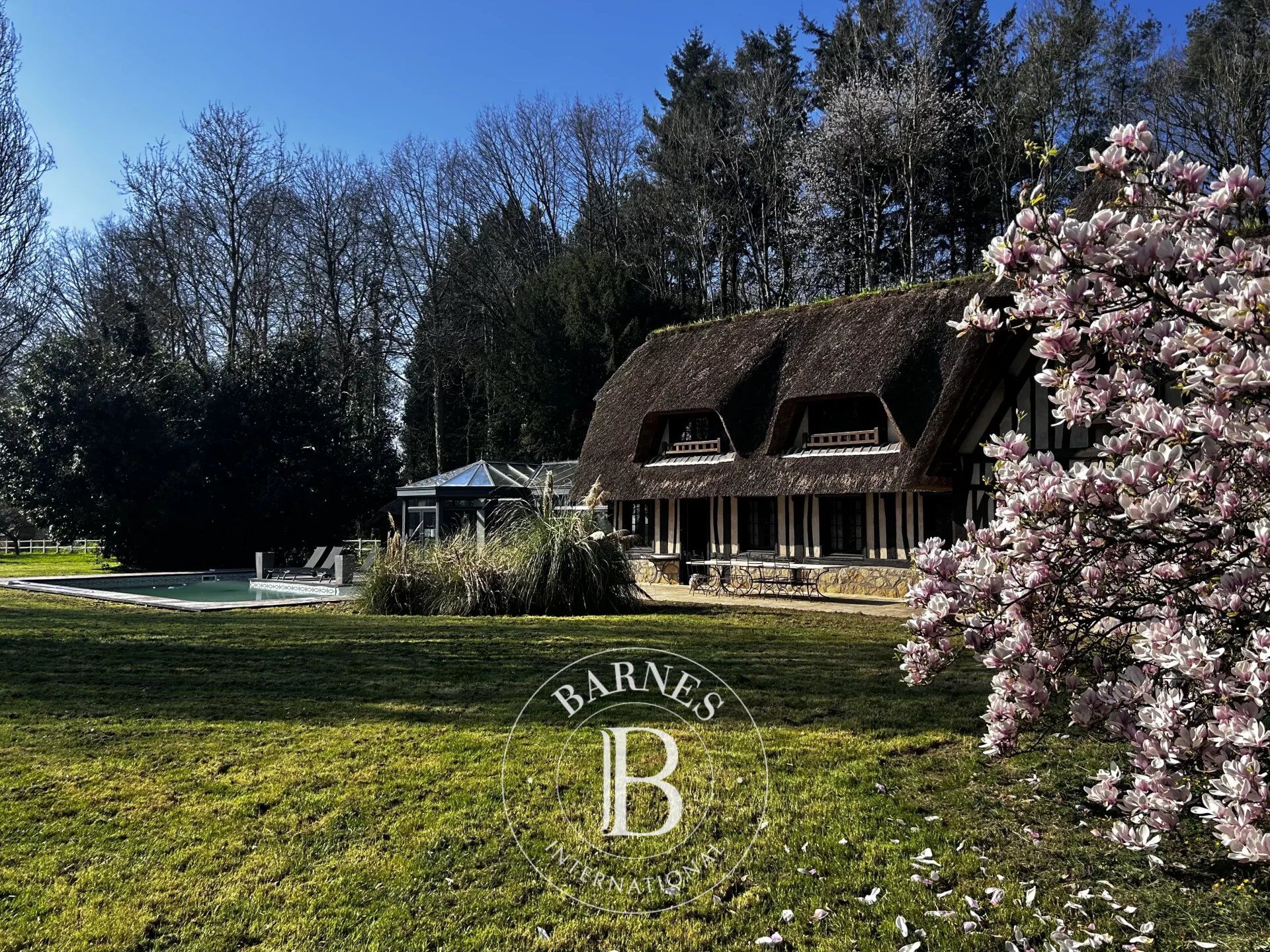 Normandy - Renovated thatched cottage on a landscaped park - picture 1