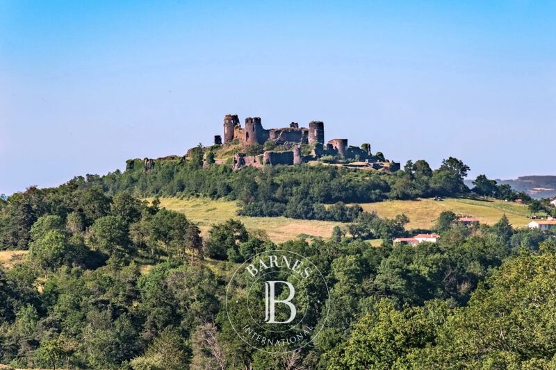 For Sale, Castle Mauzun - picture 1