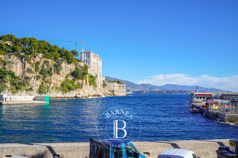 À louer Commerce | Monaco - picture 1