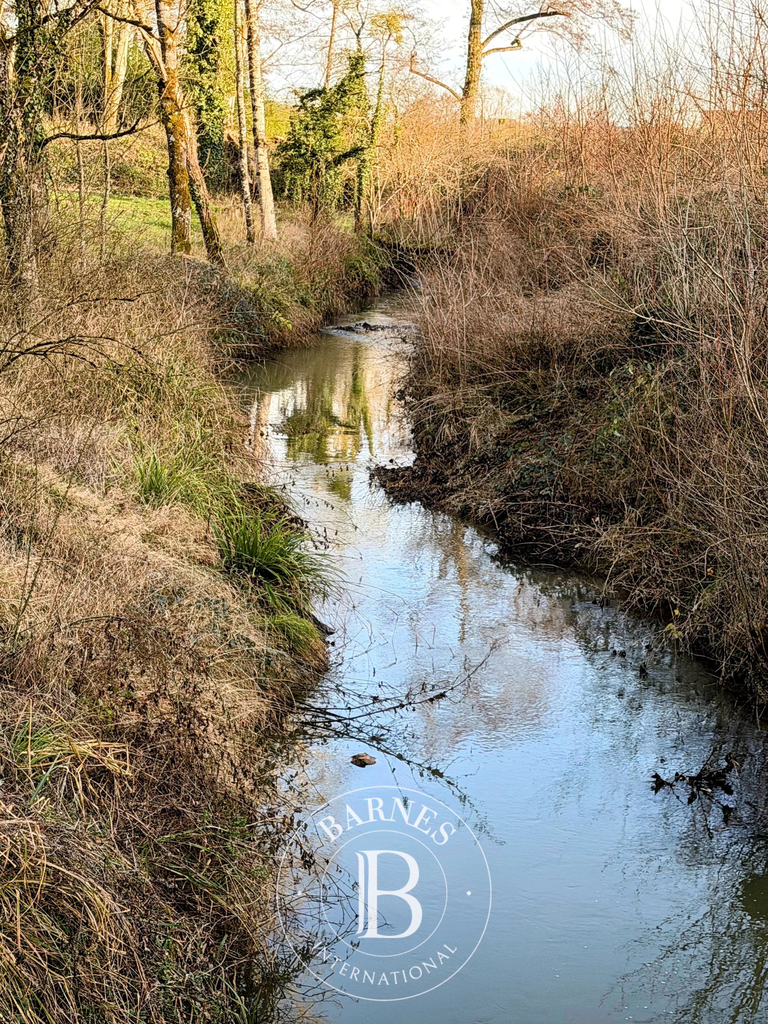 Vendita Tenuta | Beaumont-Sardolles - picture 7