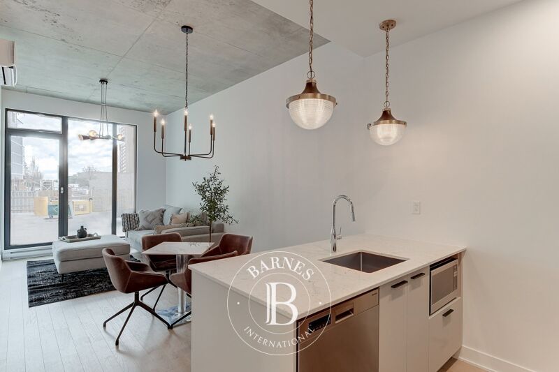 À vendre, Appartement Montréal (Ville-Marie) - picture 3