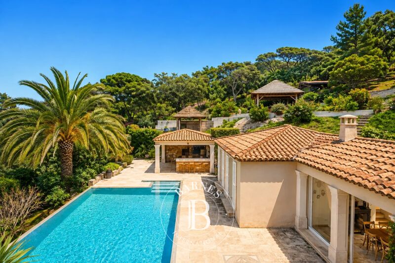 For Sale Property | Bormes-les-Mimosas - picture 1