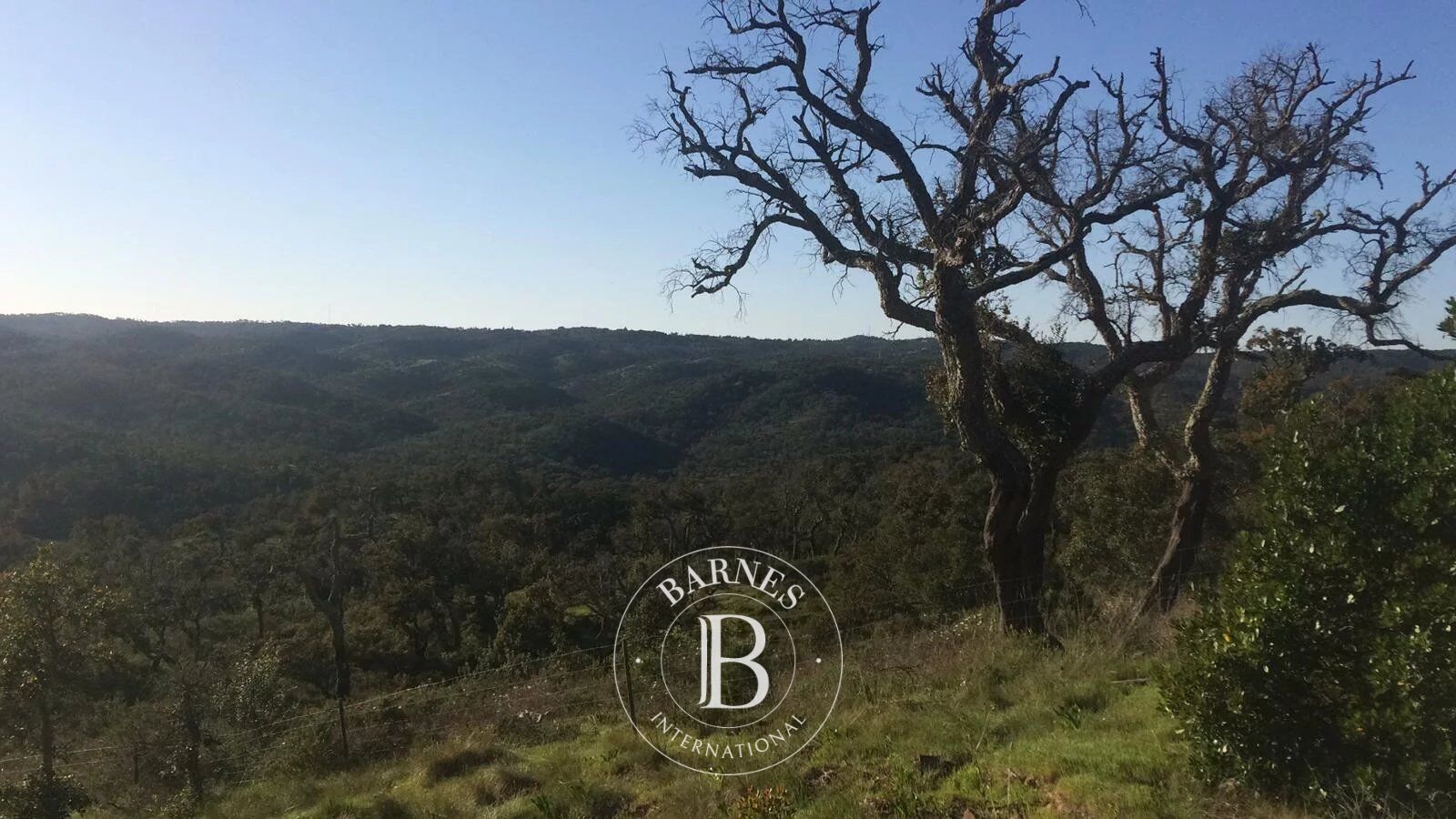 Terrain avec Projet - picture 3