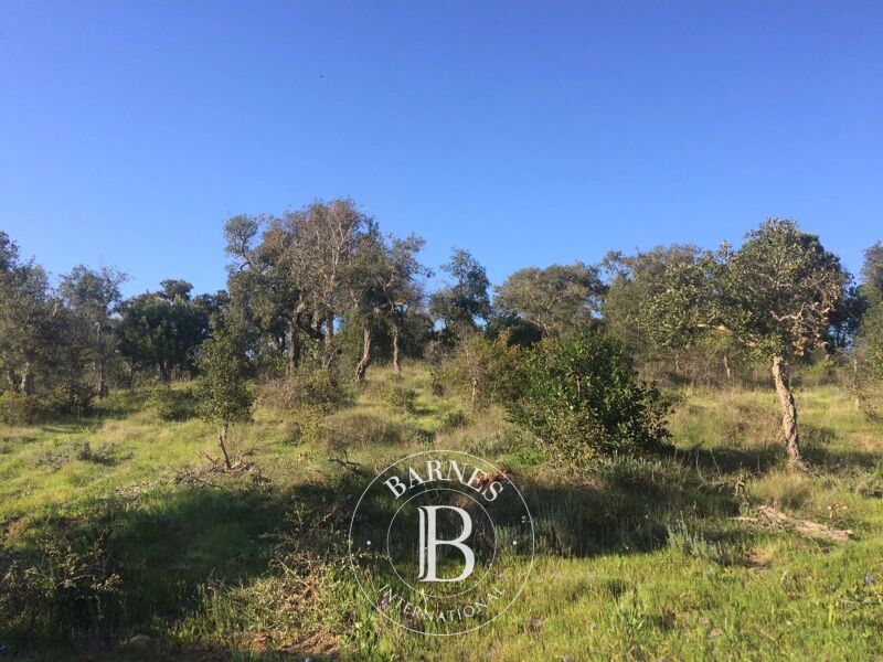 À vendre, Terrain Grândola e Santa Margarida da... - picture 2