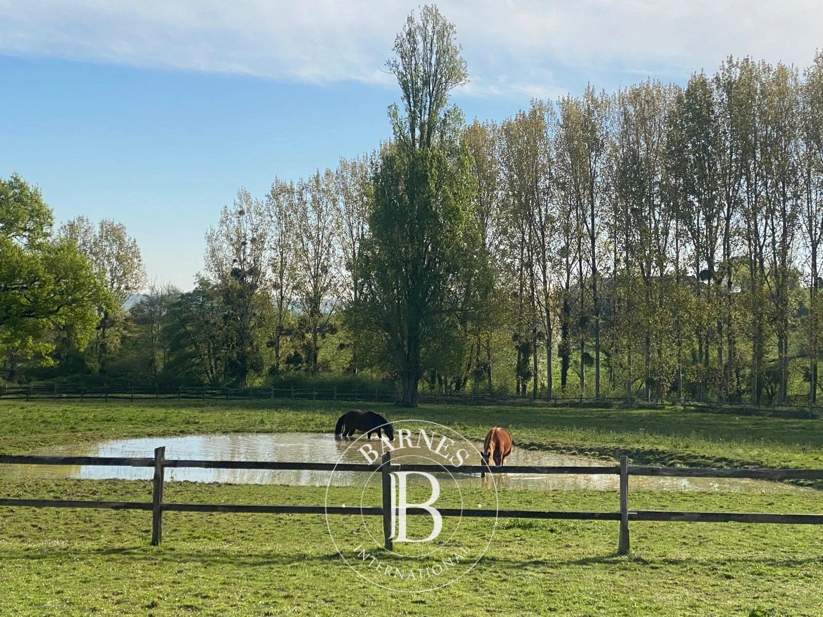 10 min de La Roche-Posay - Fermette rénovée avec 2,5 ha - Vue dégagée - picture 2