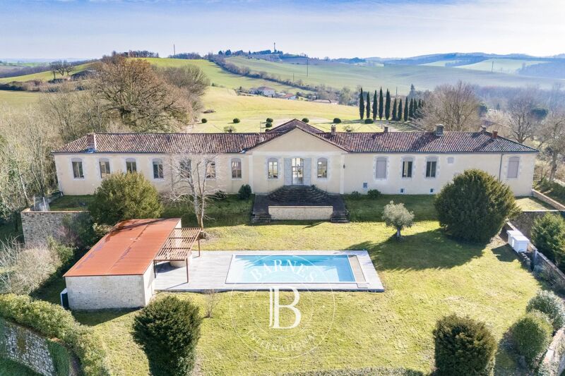 For Sale, Castle Lahitte - picture 2