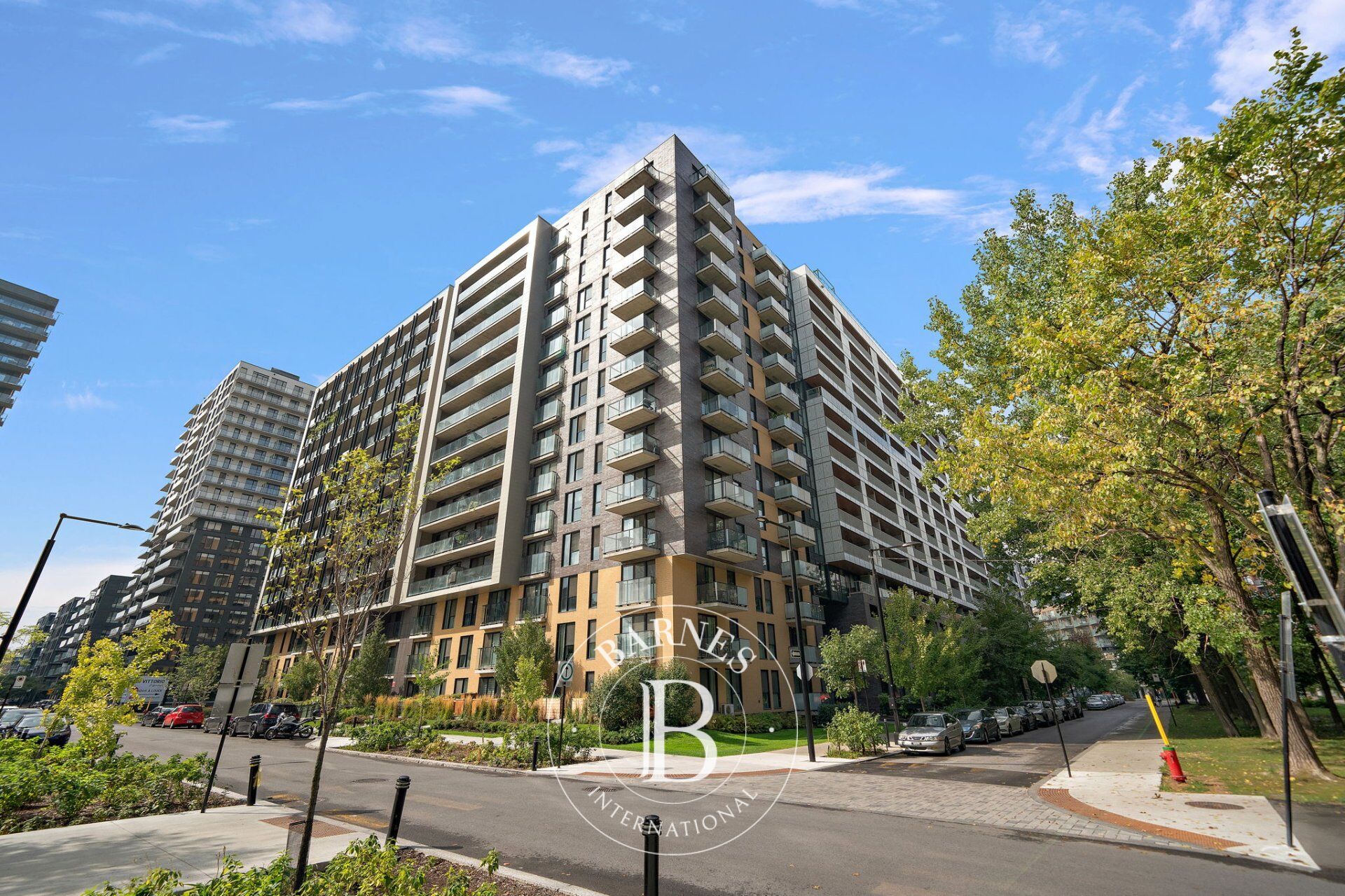 1375 Rue des Bassins #115  Montréal (Le Sud-Ouest) (Montréal) - picture 3