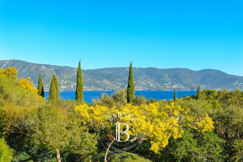 For Sale House | Bormes-les-Mimosas - picture 3