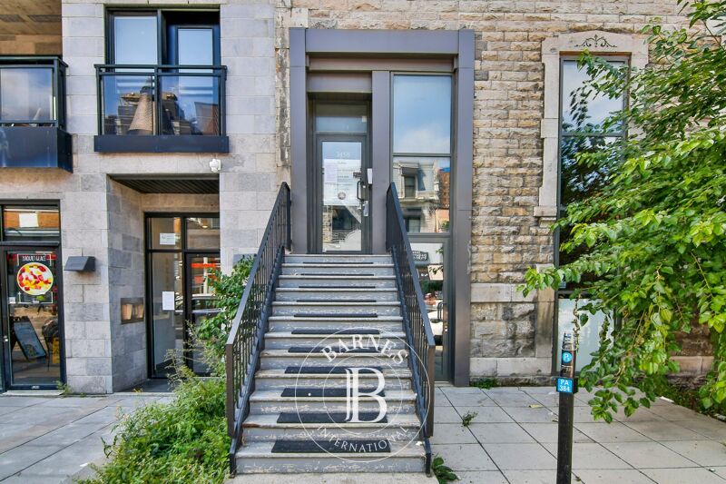 Affitto, Appartamento Montréal (Le... - picture 2