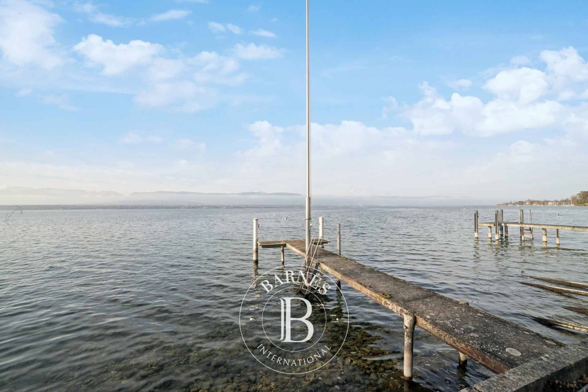 Villa Anières - picture 1